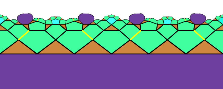 hyperbolicTiling353∞.png