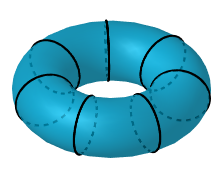 Torus rings.png