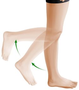 Knee Rotation.jpg
