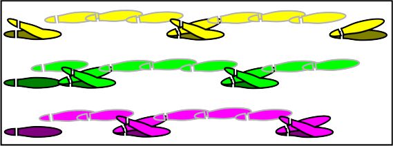 3 Step Track.jpg