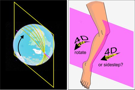 Step 4D Leg.jpg