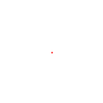 (image)